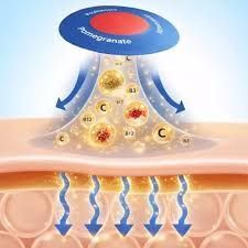 surgonix-patch-australia-the-revolutionary-weight-loss-solution-big-0