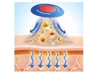 surgonix-patch-australia-the-revolutionary-weight-loss-solution-small-0