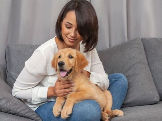 pet-international-relocation-services-dog-gone-taxi
