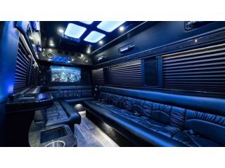 miami-sprinter-van-rental-luxury-vans-for-group-travel-small-0