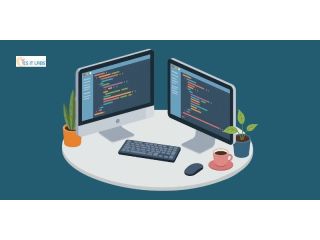 software-development-company-usa-delivering-digital-excellence-small-0