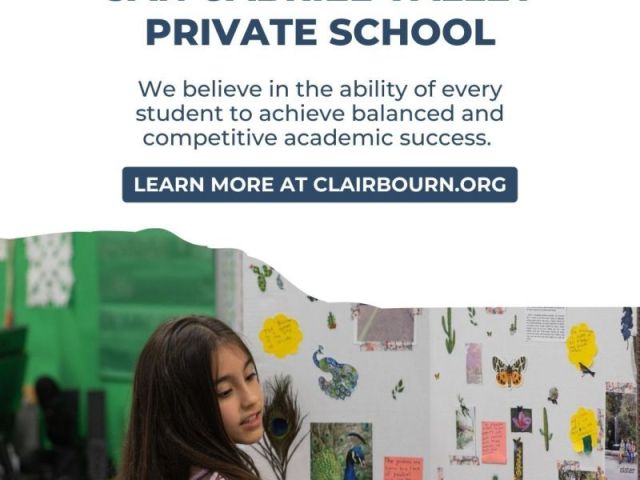 where-curiosity-gets-serious
