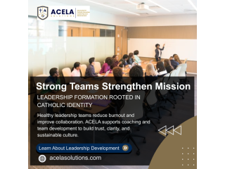 leadership-culture-development-executive-coaching-training-small-0