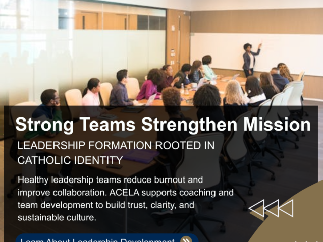 leadership-culture-development-executive-coaching-training