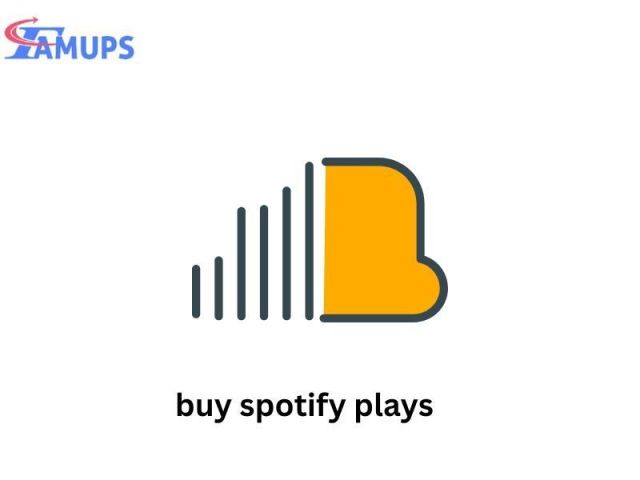 buy-spotify-plays-and-grow-your-audience-fast