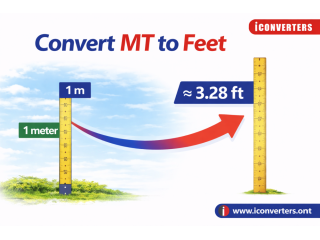 convert-mt-to-feet-online-free-tool-small-0