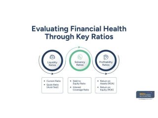 assets-liabilities-and-equity-in-accounting-small-0