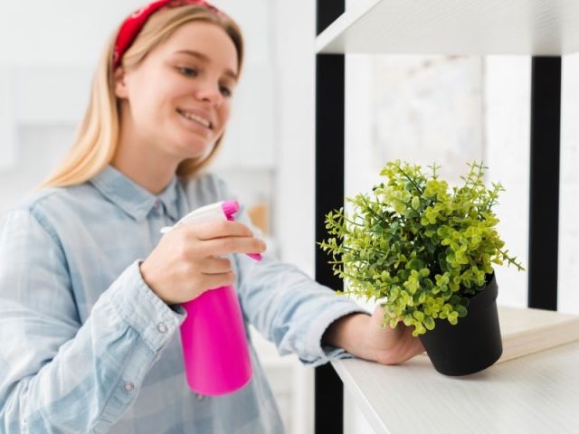 eco-cln-non-toxic-home-cleaners-for-a-healthier-and-eco-friendly