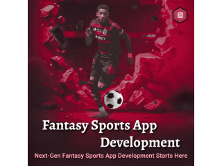 custom-fantasy-sports-app-development-in-south-korea-small-0