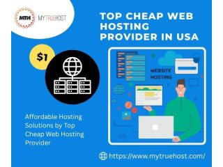 top-cheap-web-hosting-provider-in-usa-my-true-host-small-0