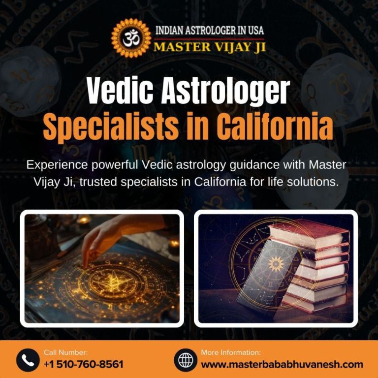 vedic-astrologer-in-california-big-0