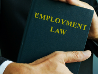 employment-labour-law-ahlawat-associates