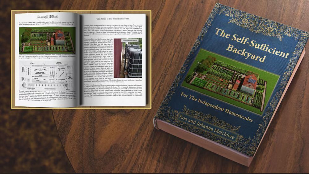the-self-sufficient-backyard-for-the-independent-homesteader-big-1