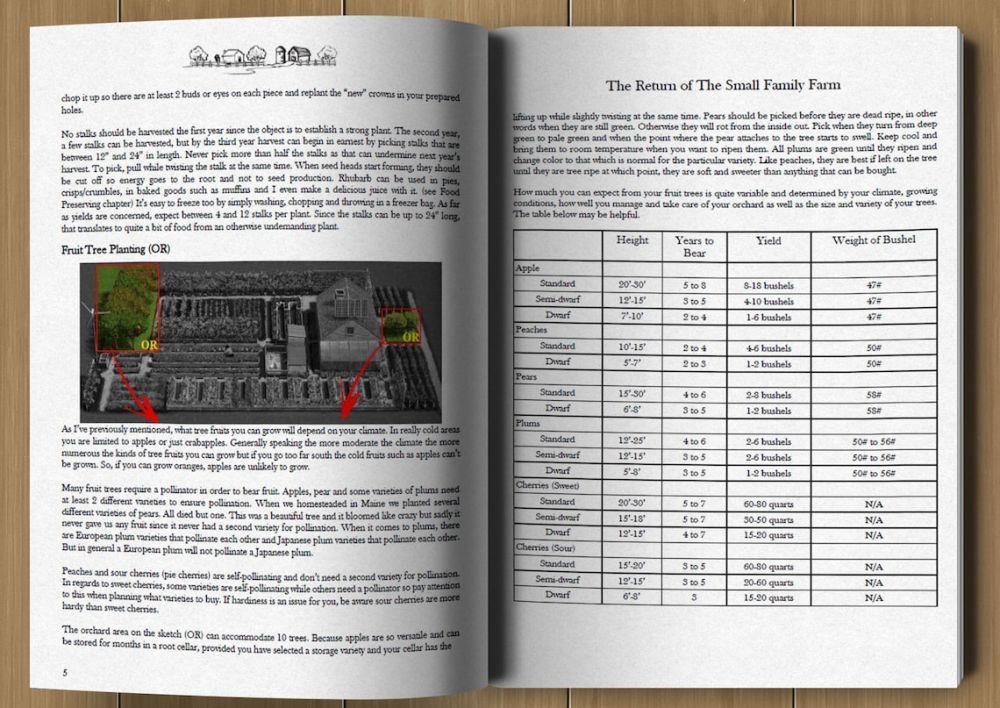 the-self-sufficient-backyard-for-the-independent-homesteader-big-3
