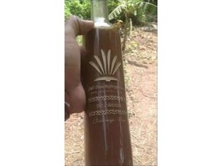buy-ayahuasca-online-small-0