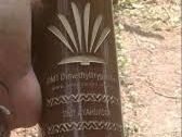 buy-ayahuasca-online