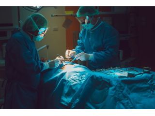 rotator-cuff-repair-bayonne-small-0