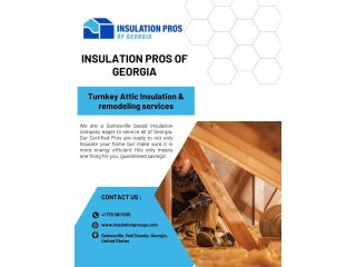 attic-insulation-removal-and-replacement-gainesville-small-0