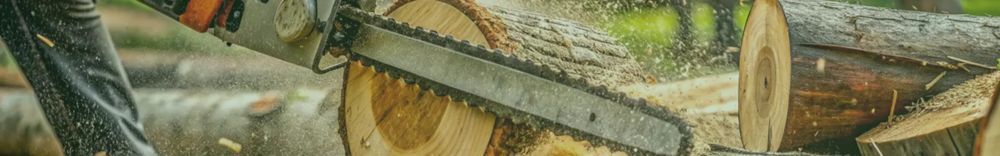 tree-removal-in-sacramento-tree-care-services-big-4