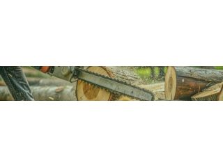 tree-removal-in-sacramento-tree-care-services-small-4