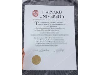 buy-the-harvard-university-bachelor-of-arts-degree-small-0