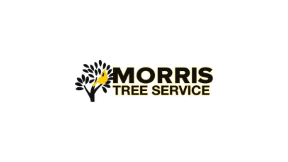 tree-stump-grinding-solutions-for-cleaner-grounds-big-0