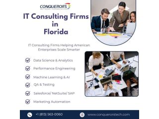 it-consulting-companies-in-usa-conquerors-tech-small-0