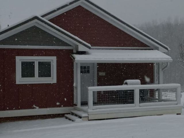 pet-friendly-vacation-rental