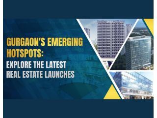 project-launch-in-gurgaon-small-0
