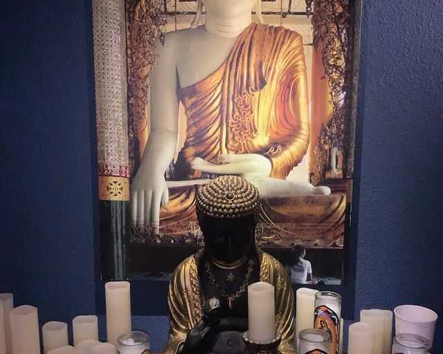 mushroom-church-monterey-for-spiritual-healing-and-growth