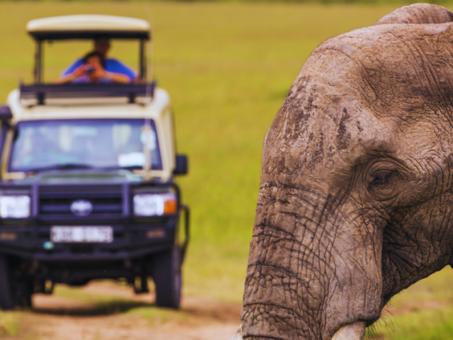 20-day-african-safari-tanzania-kenya-uganda-rwanda