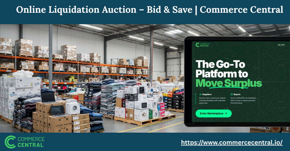 online-liquidation-auction-bid-save-commerce-central-big-0