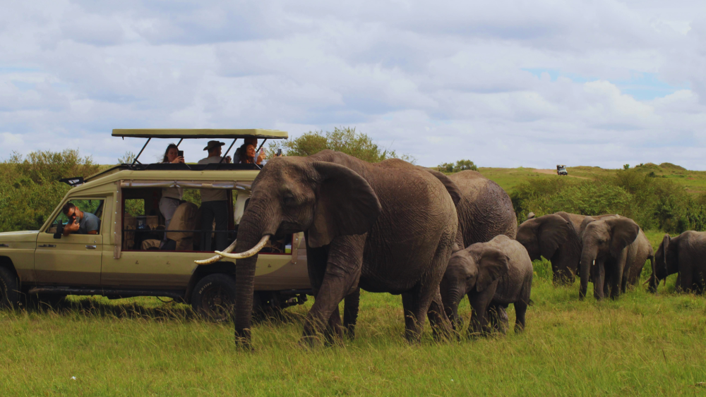 rwanda-gorilla-tours-safari-big-0