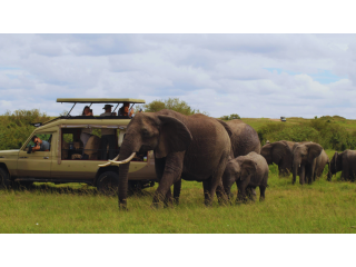 rwanda-gorilla-tours-safari-small-0