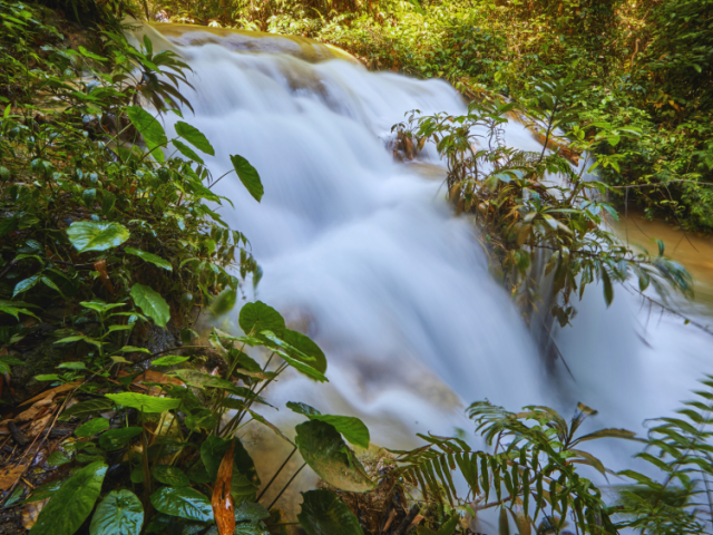 kenya-safari-tours-tanzania-safari-tours-fresh-waters