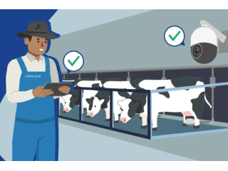 advanced-cow-software-for-ranch-management-cattle-care-small-0