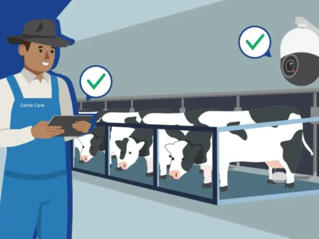 advanced-cow-software-for-ranch-management-cattle-care