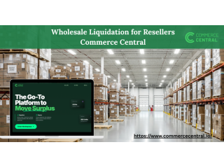 wholesale-liquidation-for-resellers-commerce-central-small-0