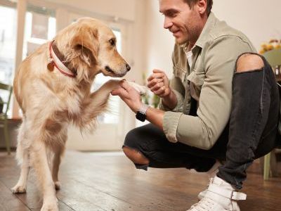 training-that-reduces-barking-without-stress
