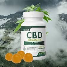 trufull-cbd-gummies-the-ultimate-wellness-boost-big-0
