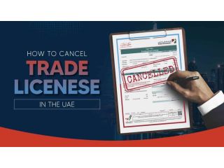 how-to-cancel-trade-license-in-dubai-small-0
