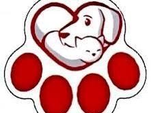 best-veterinarian-in-las-vegas-compassionate-pet-care