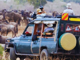 africa-tours-and-safaris-top-travel-packages-2026