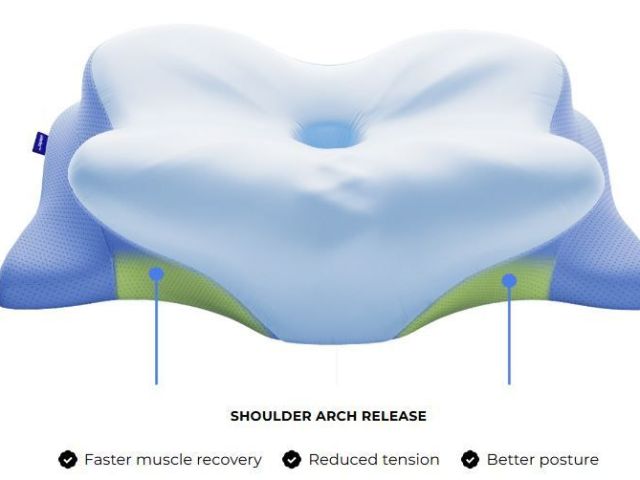 derila-ergo-memory-foam-pillow