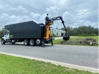 tree-trimming-pruning-st-augustine-small-0