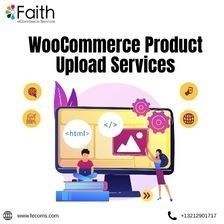 woocommerce-product-data-entry-services-for-sellers-big-0