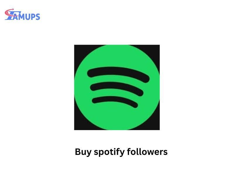 boost-your-music-growth-when-you-buy-spotify-followers-big-0