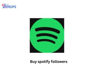 boost-your-music-growth-when-you-buy-spotify-followers-small-0