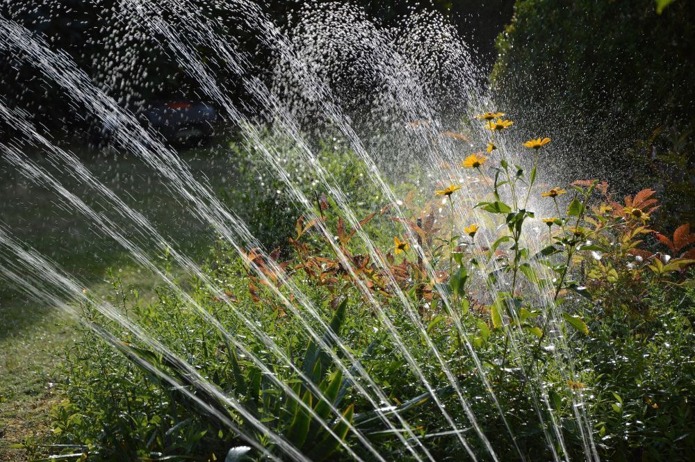 professional-irrigation-planning-advisory-solutions-big-1