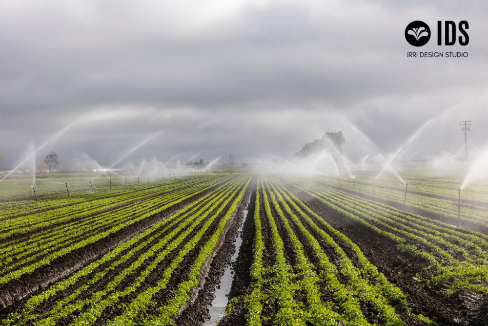 professional-irrigation-planning-advisory-solutions-big-2
